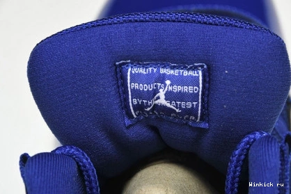 “BLEU AIR JORDAN'S NUIT” 11 0306